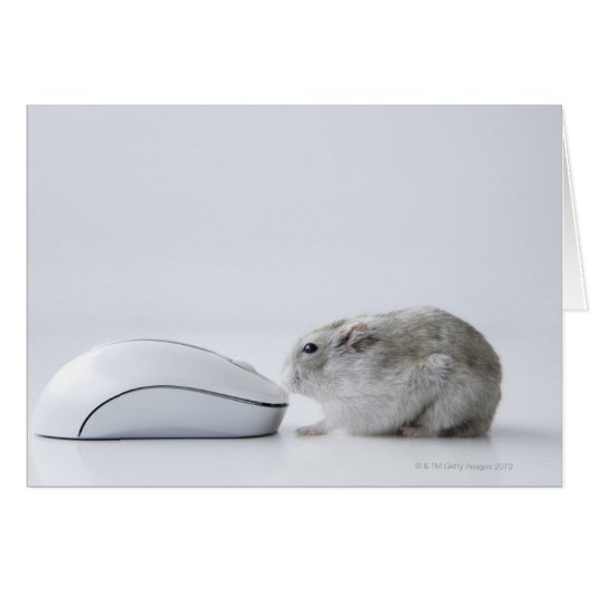 Hamster and Computer mouse Cards (Front Horizontal)