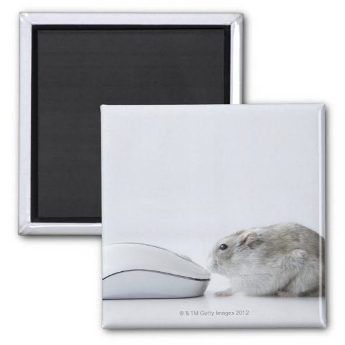 Hamster and Computer mouse Magnet