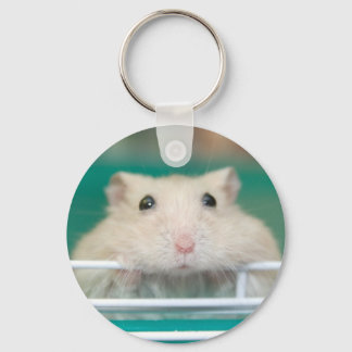 Hamster: Begging for Attention Keychain