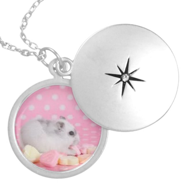 Hamster Candy Locket Necklace (Front)