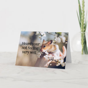 Hamster Child's Get Well Card