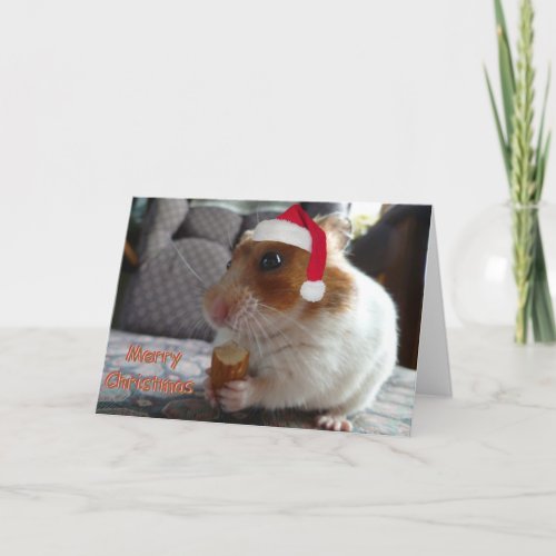 Hamster Christmas Card