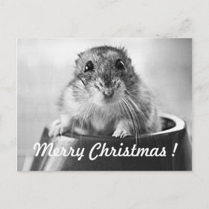 Hamster Christmas Card