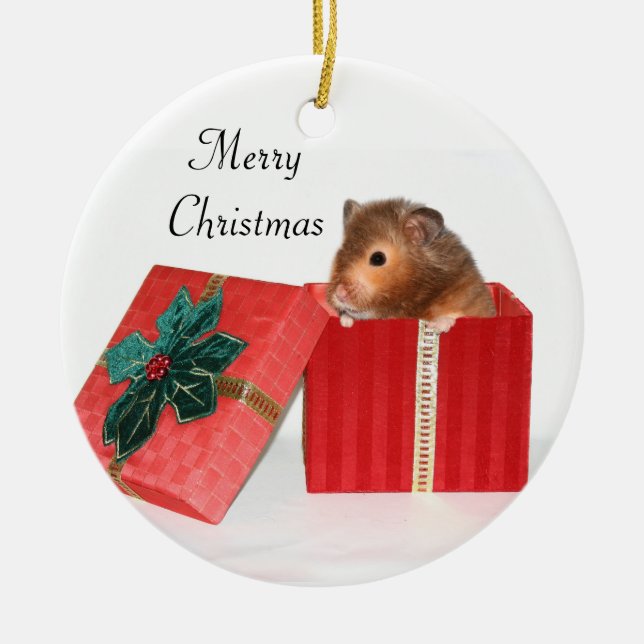 Hamster Christmas gift Ceramic Ornament (Front)