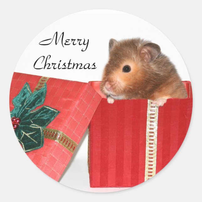 Hamster Christmas gift Classic Round Sticker (Front)