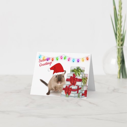 Hamster Christmas Greeting Card