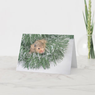 Hamster Christmas Holiday Card
