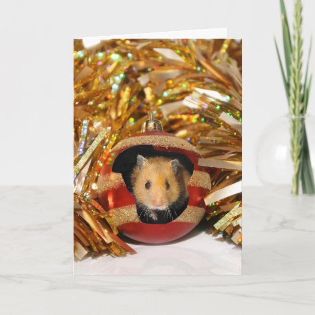 Hamster Christmas Holiday Card (Front)