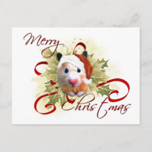Hamster Christmas Postcards