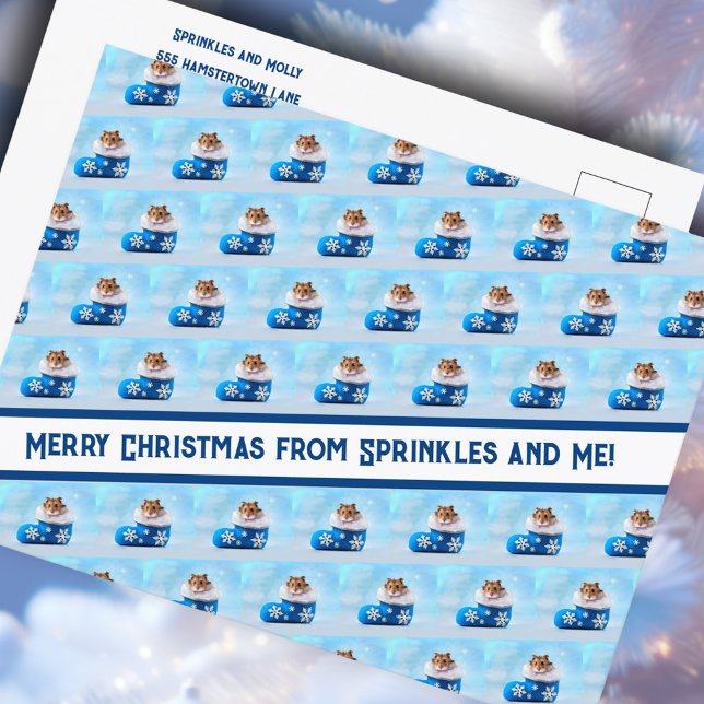 Hamster Christmas Stocking Photo Collage  Holiday Postcard (Creator Uploaded)