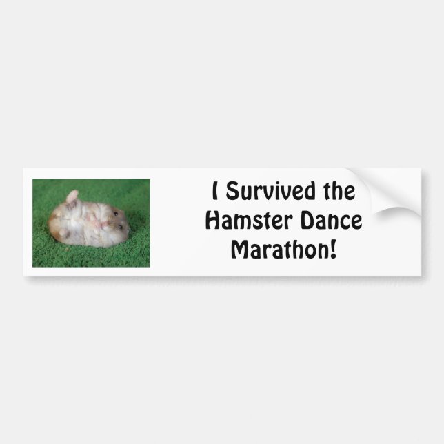 Hamster Dance Marathon Bumper Sticker (Front)