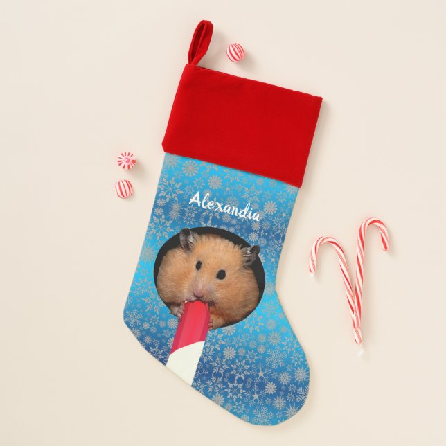 Hamster Eats a Candy Cane Christmas Stocking (Front)