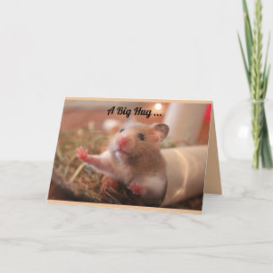Hamster Hug Letterpress Thank You Card
