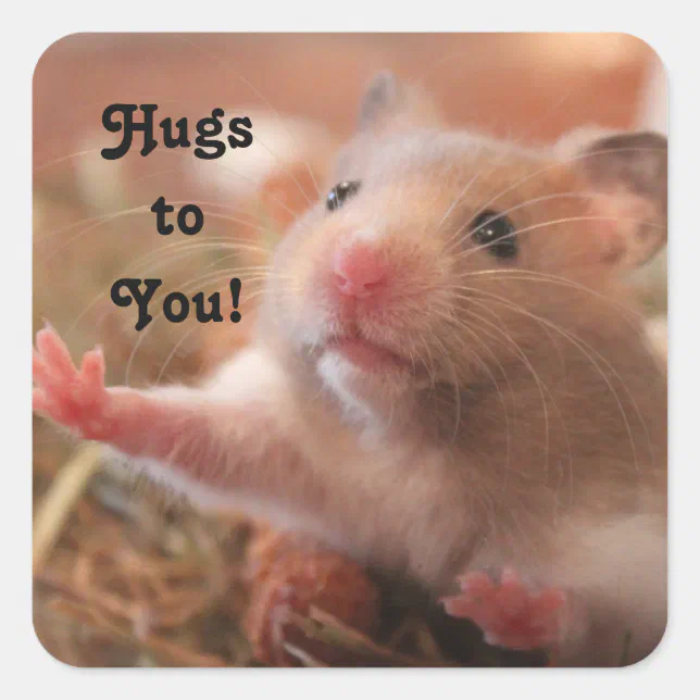 Hamster Hugs Square Sticker | Zazzle