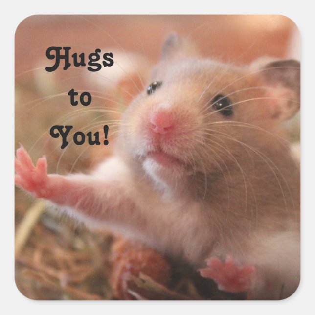 Hamster Hugs Square Sticker (Front)