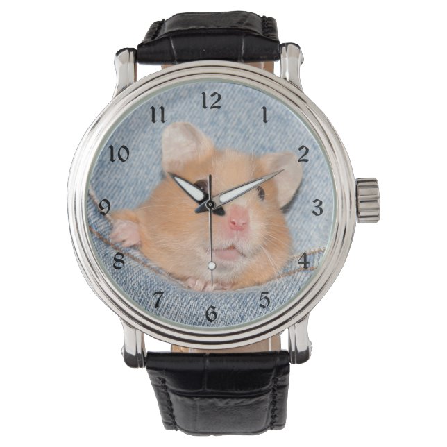 Hamster in blue jeans watch (Front)