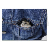 Hamster in pocket (Front Horizontal)