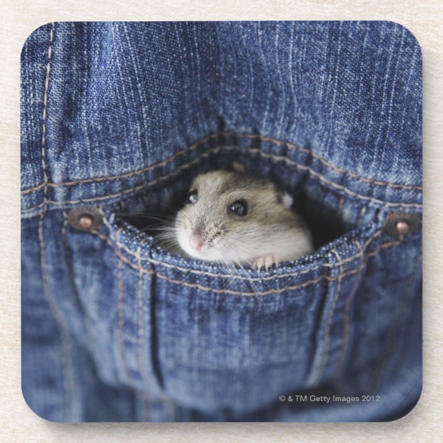 Hamster in pocket coaster (Front)