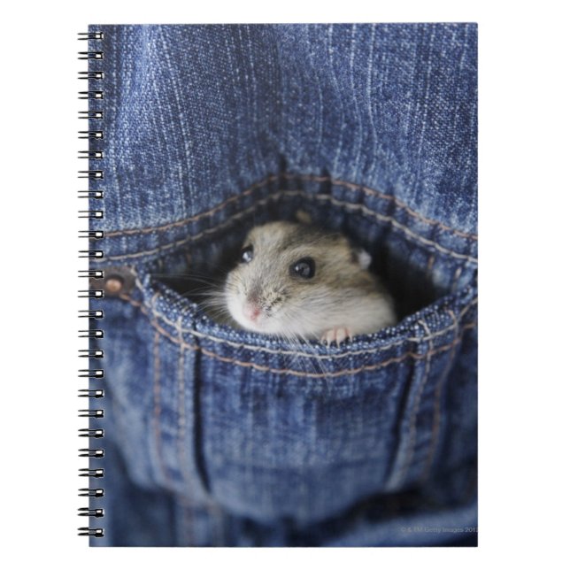 Hamster in pocket notebook (Front)
