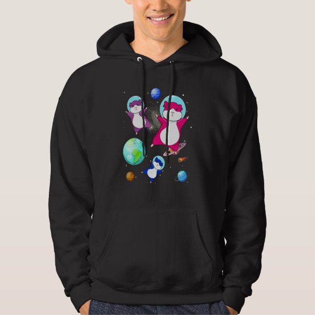 Hamster In Space Bisexual Flag Bisexuality Pride M Hoodie (Front)