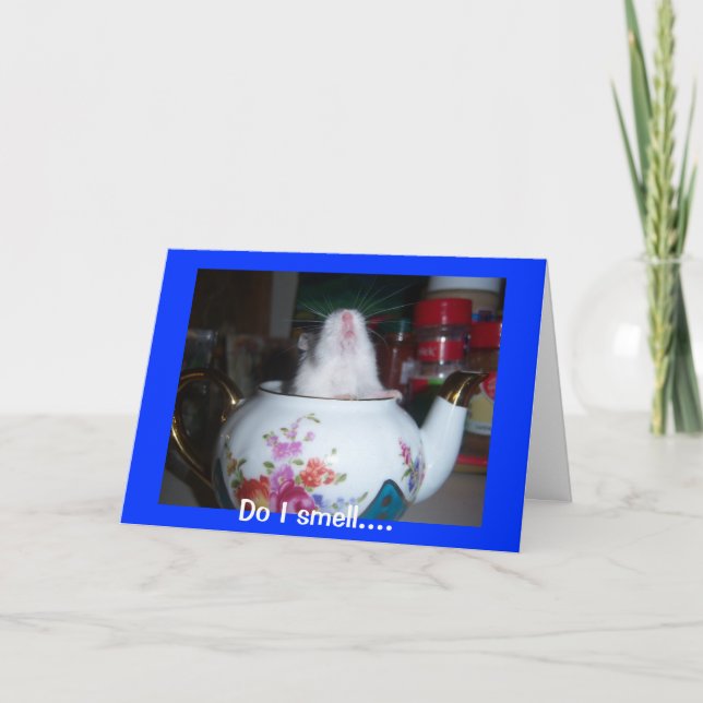 Hamster In Teapot Card (Front)