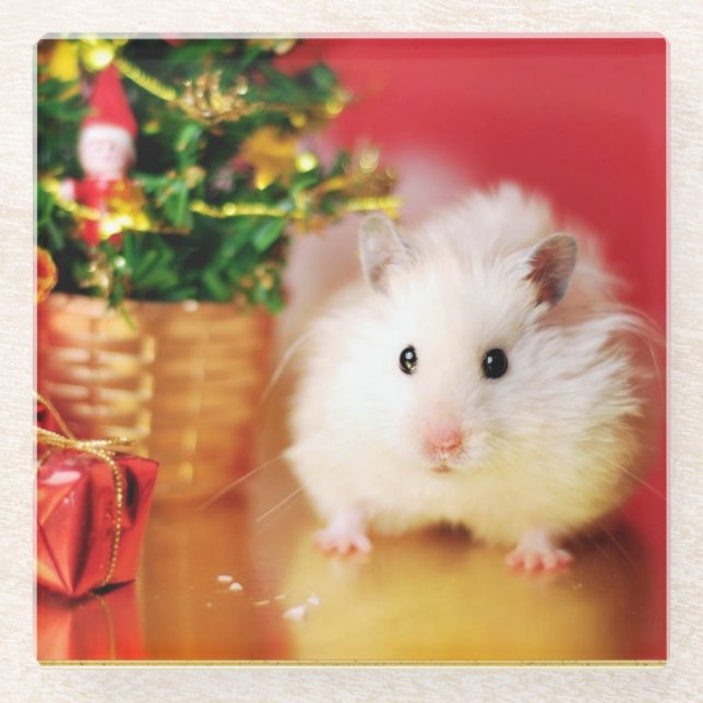 Hamster Kokolinka with Christmas tree Glass Coaster (Front)