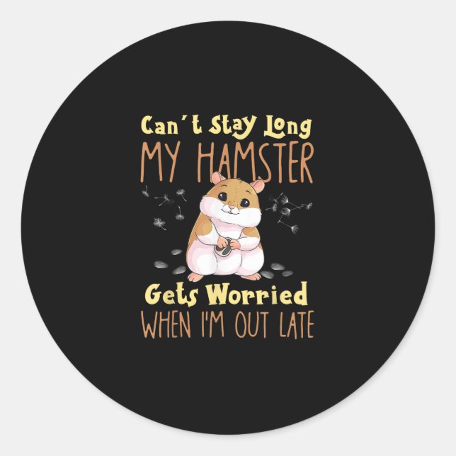 Hamster Meme Pet Owners Classic Round Sticker (Front)