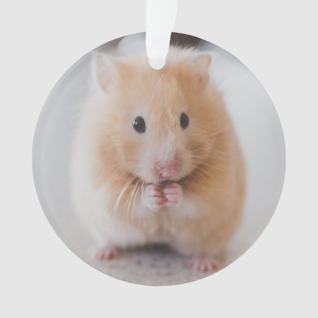 hamster ornament (Front)