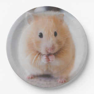 hamster paper plates