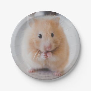 hamster paper plates
