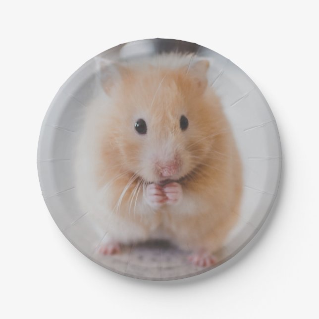 hamster paper plates (Front)