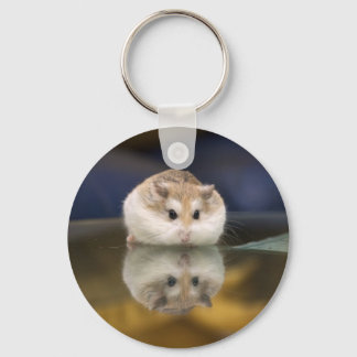 Hamster reflections keychain