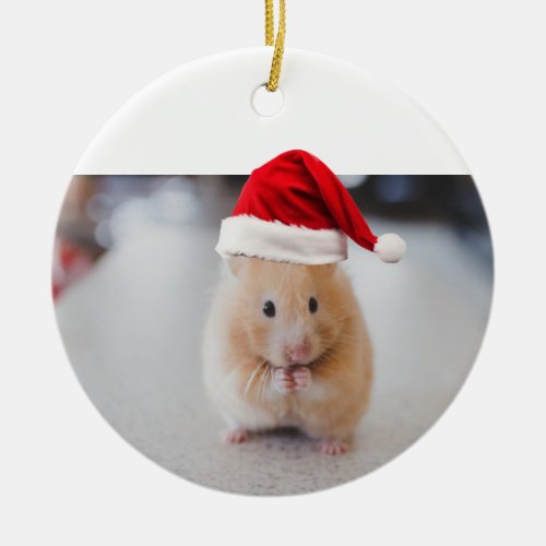 Hamster Santa Ceramic Ornament