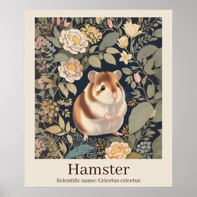 Hamster Scientific Name Animal Poster (Front)