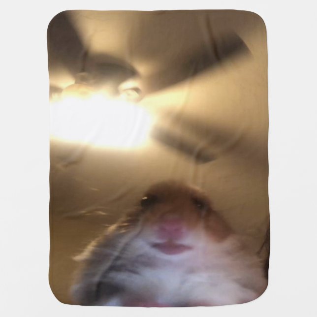 Hamster Staring Meme Baby Blanket (Front)