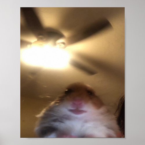 Hamster Staring Meme Poster