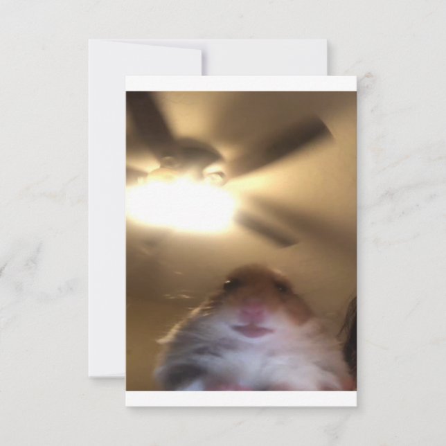 Hamster Staring Meme Save The Date (Front)