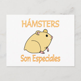 Hamsters Son Especiales Postcard