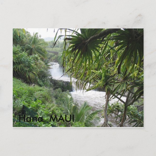 Hana 003, Hana,  MAUI, Hana  MAUI Postcard (Front)