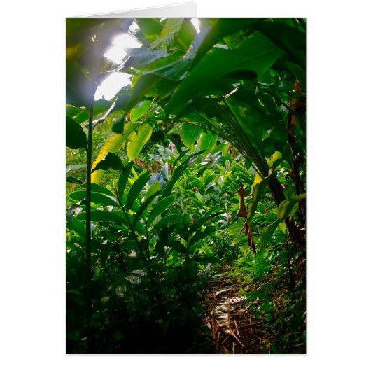 Hana Cabana Foliage Cards (Front)
