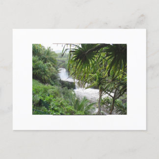 Hana, MAUI Postcard
