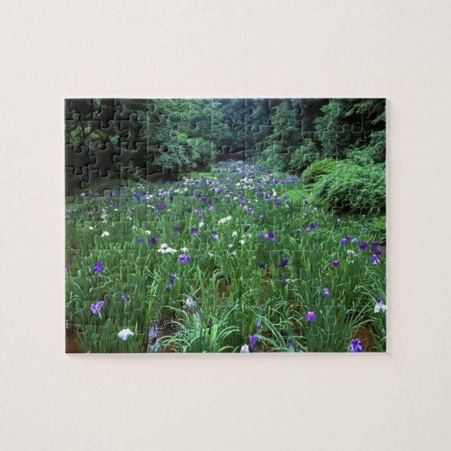 Hana Shobu (Japanese Water Iris), Meiji Shrine, Jigsaw Puzzle (Horizontal)