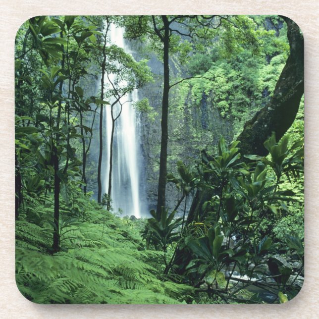 Hanakapiai Falls along the Na Pali Coast, Kauai, Beverage Coaster (Front)