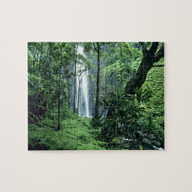 Hanakapiai Falls along the Na Pali Coast, Kauai, Jigsaw Puzzle (Horizontal)