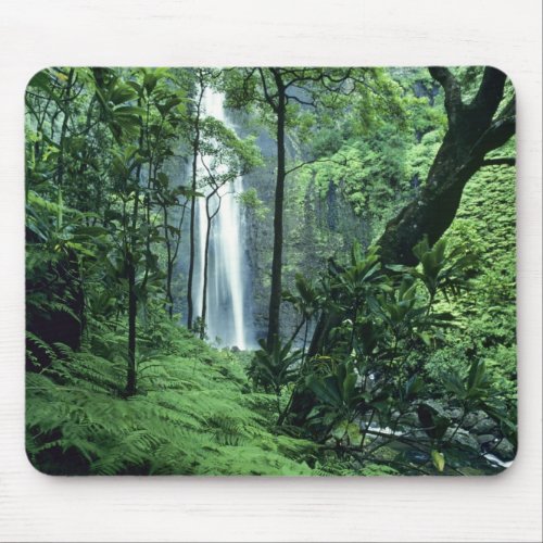 Hanakapiai Falls along the Na Pali Coast Kauai Mouse Pad