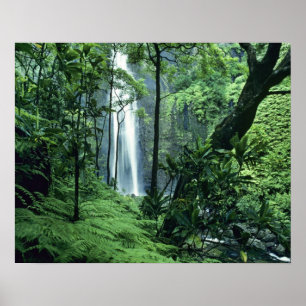 Hanakapiai Falls along the Na Pali Coast, Kauai, Poster