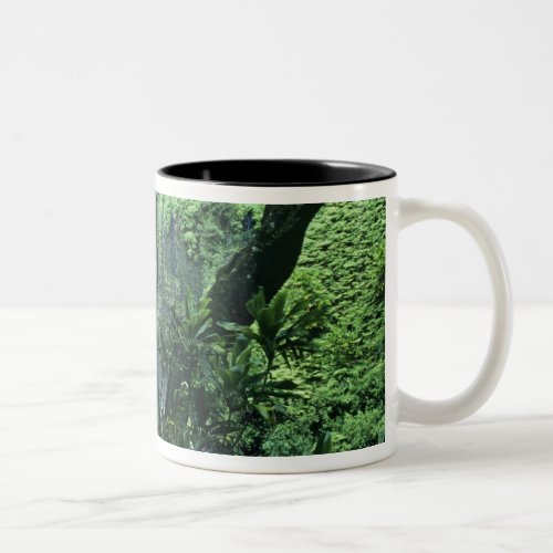 Hanakapiai Falls along the Na Pali Coast Kauai Two_Tone Coffee Mug