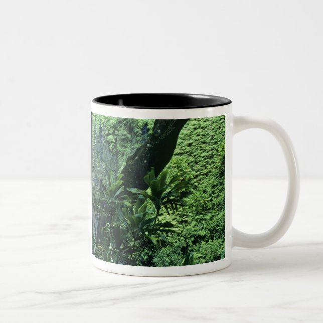 Hanakapiai Falls along the Na Pali Coast, Kauai, Two-Tone Coffee Mug (Right)