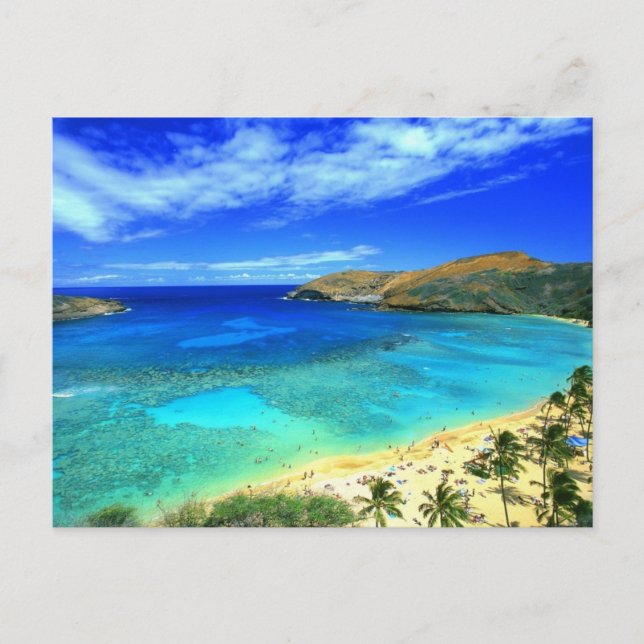 Hanauma Bay Beach Aloha! Postcard (Front)