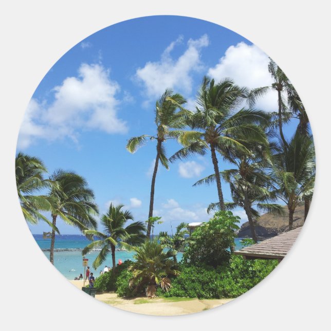 Hanauma Bay Hawaii Coconut Trees Classic Round Sticker (Front)